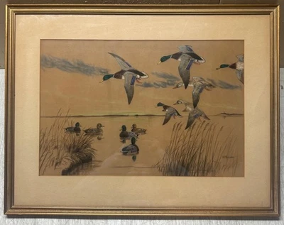 Pintura Original HAMPTON M ERICSSON 'Malards' Patos ARTE DEPORTIVO - EXPUESTA Foto 1 de 4