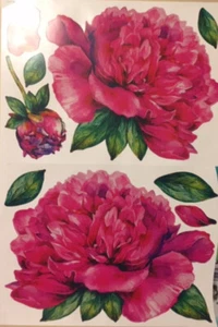 FUSCHIA PEONÍAS flores pegatinas de pared 9 calcomanías decoración de jardín 2 GRANDES flores - Imagen 1 de 1