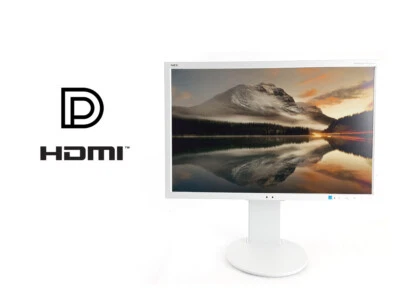 NEC EA244WMi Monitor 24,1'' WUXGA IPS 1920x1200 60Hz 5ms 16:10 Pivot - Bild 1 von 4