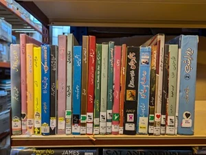 Job lot collection of 24 Urdu Language adult books - Picture 1 of 3