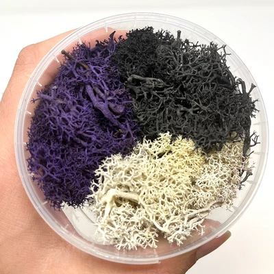 Spezielles Moos - Dunkler Mix für Modellbau, Diorama, Eisenbahn Landschaft - Bild 1 von 4