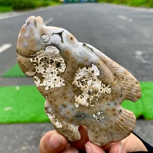 72G Increíble piedra de aura de jaspe marino natural talla de cristal pez jaspe - Imagen 1 de 24