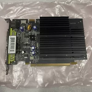 TESTED XFX Golden Tee Nvidia 7800GS 512MB PCI-e Dual DVI Video Card PV-T73P-YDJ3 - Picture 1 of 2