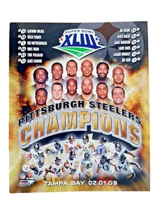 2009 Pittsburgh Steelers Super Bowl Champion Photo - Picture 1 of 1