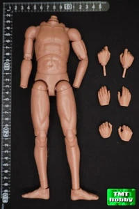 Maßstab 1:6 QORANGE QOM-1041 France Chasseurs Alpins 1915 - Korpus (OHNE KOPF) - Bild 1 von 2