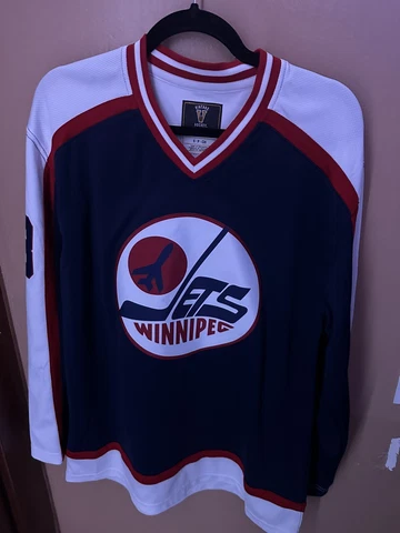 Men's Fanatics Branded Teemu Selanne Navy Winnipeg Jets Breakaway Retired Player Cover