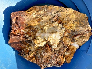 Gold-Bearing Quartz Specimen 1kg – Lachlan Orogen NSW – Visible Gold + Gossan - Picture 1 of 23