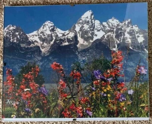 Foto enmarcada calendario Grand Teton 2016 frontal 8X10 "Primavera en los Tetons" - Imagen 1 de 5