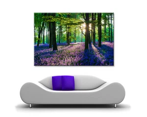 LARGE BLUEBELL FOREST WOODS CALM LAVENDER PURPLE FLOWERS CANVAS PRINT PICTURE - Picture 1 of 2