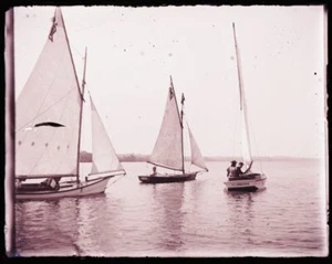 (1) LATE 1800s-EARLY 1900s ANTIQUE GLASS NEGATIVE,THREE SAILBOATS RACING CHINA - Picture 1 of 2