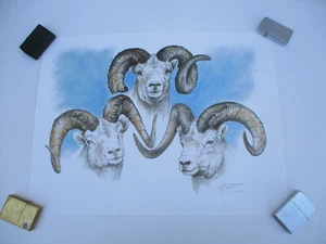 Doug Lindstrand Kunst "Mountain Monarchs" Dahl signiert Alaska Skizzen LTD Edition - Bild 1 von 6