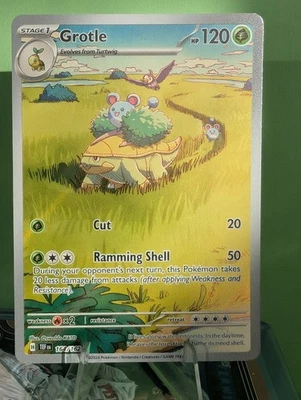 1 Stage Grotle - 164/162 - Illustration Rare Pokemon SV05 Temporal Forces - Image 1 of 3