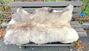 Echtes Schaffell , Weiß Braun Gefleckt , Schäferei Engel , ca. 83 cm x 116 cm - Picture 1 of 16