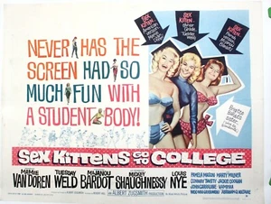 Vintage 1960 "Sex Kittens Go to College" Half Sheet Movie Poster Linen Backed - Picture 1 of 8