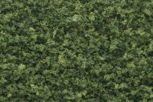 bosque - Imagen 1 de 2