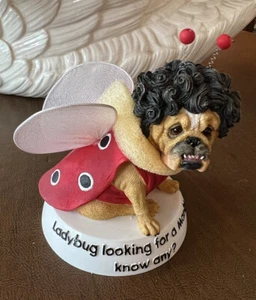 2005 Zelda Wisdom™️ Bulldog ~ “Ladybug” 🐞 #16622 With Tag & Box - Picture 1 of 11