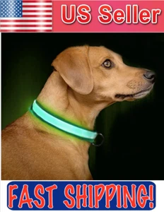 SAFETY LED Dog Pet Light Up Collar Night Glow Adjustable Bright 3 Color S-M-L-XL - Picture 1 of 12