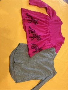 Lot Of 2 Long Sleeved T-shirts Girls Size 4/4T - Picture 1 of 2