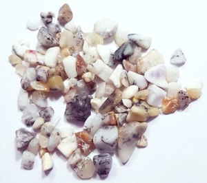 100% Natural Dendrite Ethiopian Opal Lot Loose Gemstone 182.05 Ct With Free Gift - Picture 1 of 4