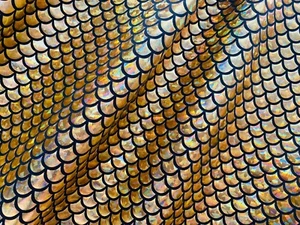 Tela a escala de sirena tela cola de pez tela de cola de pez -2 W spandex elástico -150 cm de ancho oro - Imagen 1 de 5