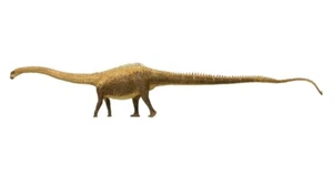 Réplica de figura de dinosaurio Diplodocus modelo saurópodo apatosaurus eofauna - Imagen 1 de 3