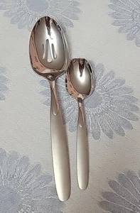 2 Pezzi Oneida PARADOX Ricambio Servizio e Cucchiaio Condimento Acciaio Inox - Foto 1 di 1