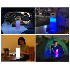 NEW lighted cup touch dimming function rechargeable led lighted water bottle - Picture 1 of 17
