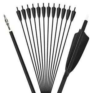 28" 30" 31" Archery Carbon Arrows SP500 4" Turkey Feathers Bow Hunting Target - Picture 1 of 20
