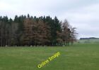 Photo 6X4 Sheep Sheltering From The Wind Burradon Nt9806 Beside The Gate C2014