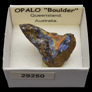 OPALO Noble "Boulder" (Queensland, Australia) G #29250 / Opal - Picture 1 of 1
