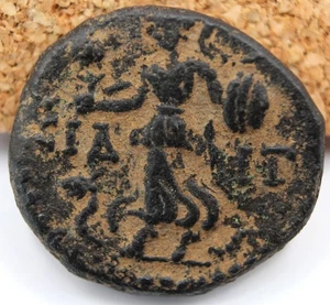 Roman Provincial | Domitian | AE18 | Side, Pamphylia | 81-96 AD | Athena & Snake - Picture 1 of 8