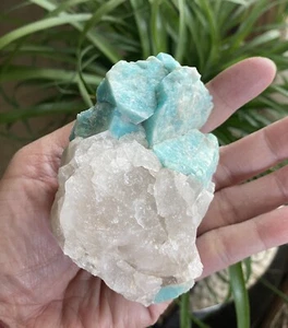 Gorgeous Amazonite With Smoky Quartz From Lake George, Colorado 276g - Picture 1 of 11