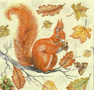 4 x Single Paper Napkins for Decoupage Craft Table Squirrel 57 - Picture 1 of 1