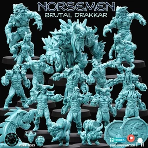 Norsemen equipe nordique fantasy football - Imagen 1 de 1
