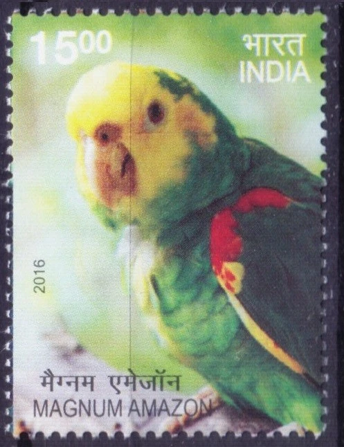 India 2016 MNH, loros amazónicos Magnum, cabeza amarilla, aves en peligro de extinción  Foto 1 de 1