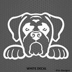 Peeking Boxer Cute Puppy Dog Best Friend Vinyl Decal - Choose Color