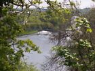 Photo 6X4 River Clyde At Daldowie Broomhouse/Ns6662 Photo Taken From Ken C2005