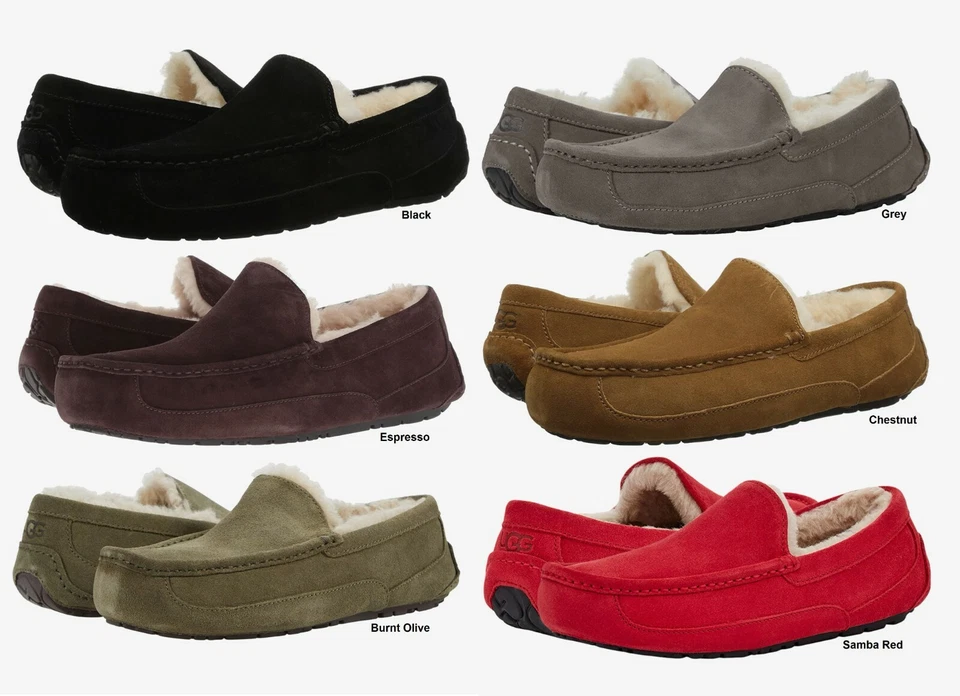 Authentic UGG Mens Ascot Slipper Shoes Black Chestnut Espresso New 8 9 10 11 12 - Image 1 of 1