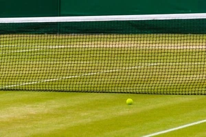 Tennis net Full drop post to post - Picture 1 of 3