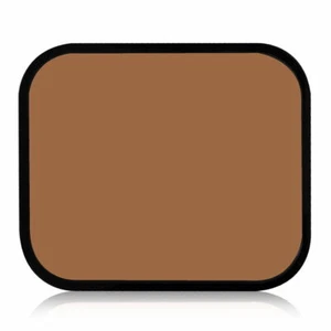 Shiseido Sheer Matifying Compact SPF 21 Refill D10 Golden Brown Brand New - Picture 1 of 1