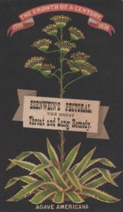 1890 Antique Victorian Trade Card Quack Medicine Esenwein's Pectoral A11Q - Picture 1 of 2