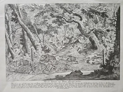 Johann E.Ridinger (1698-1767): Kupferstich: Wie die Schweine mit Netzen gefangen - Bild 1 von 4