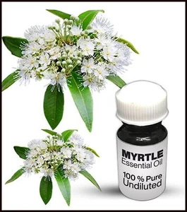 Myrtle Essential Oil 100% Pure Undiluted (10ML-500ML) - Picture 1 of 1