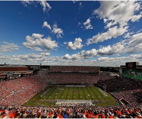 Auburn Tigers Unsigned Jordan-Hare Stadium 20" x 24" Photo - Fanatics Cover