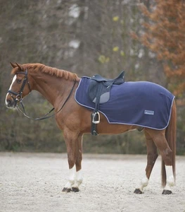 Fleece Ausreitdecke Economic marine Decke verschiedene Größen NEU - Imagen 1 de 3