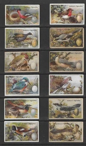 Gallaher 1919 VÖGEL, NESTER & EIER Zigarettenkarten (33) - Bild 1 von 4