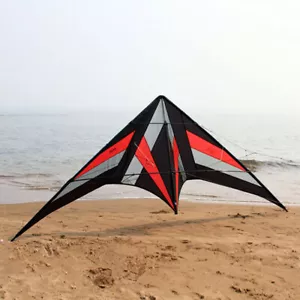 Freilein Large 2.5m 2 Line Stunt Kite Professional Acrobatic Sport Kite with Bag - Picture 1 of 7