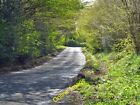 Photo 6x4 Waldron Road, East Hoathly There is a wedge of woodland to the  c2012