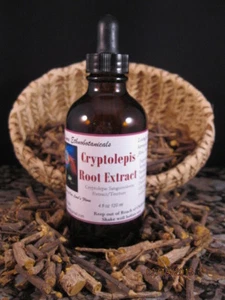 CRYPTOLEPIS SANGUINOLENTA EXTRACT TINCTURE 4 OZ Dropper Bottle - Picture 1 of 1