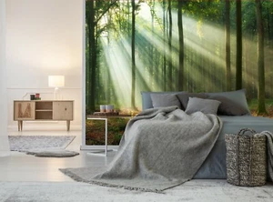 Forest Wall Mural Wallpaper Photo Nature Trees Decor Paper Poster 366x254 cm - Picture 1 of 12
